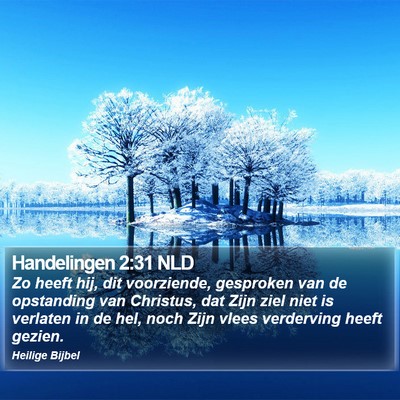 Handelingen 2:31 NLD Bible Verse Image