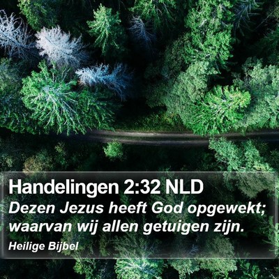 Handelingen 2:32 NLD Bible Verse Image