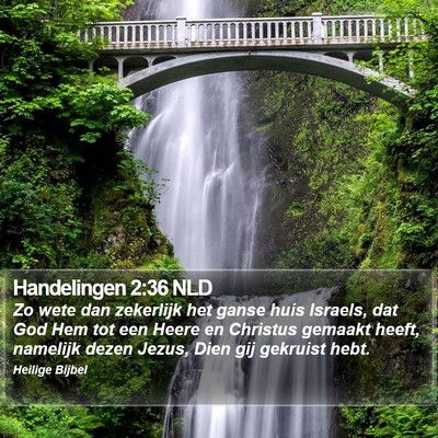Handelingen 2:36 NLD Bible Verse Image