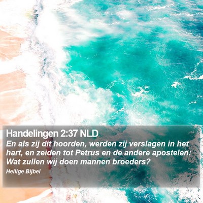 Handelingen 2:37 NLD Bible Verse Image