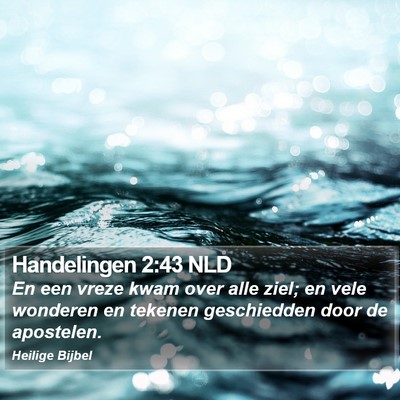Handelingen 2:43 NLD Bible Verse Image