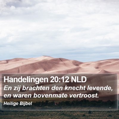 Handelingen 20:12 NLD Bible Verse Image