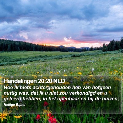 Handelingen 20:20 NLD Bible Verse Image