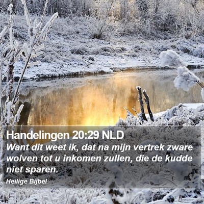 Handelingen 20:29 NLD Bible Verse Image