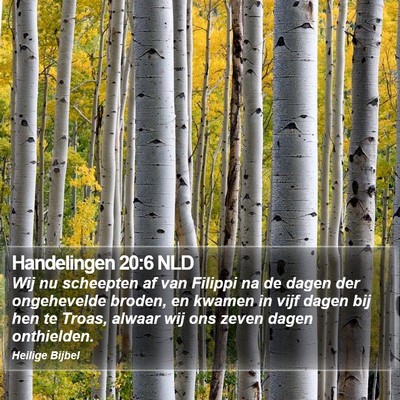 Handelingen 20:6 NLD Bible Verse Image
