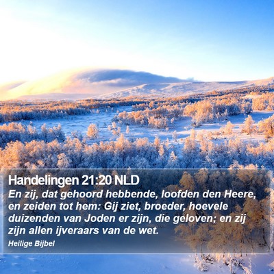 Handelingen 21:20 NLD Bible Verse Image