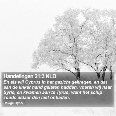 Handelingen 21:3 NLD Bible Verse Image