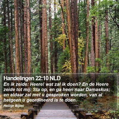 Handelingen 22:10 NLD Bible Verse Image