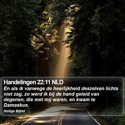 Handelingen 22:11 NLD Bible Verse Image
