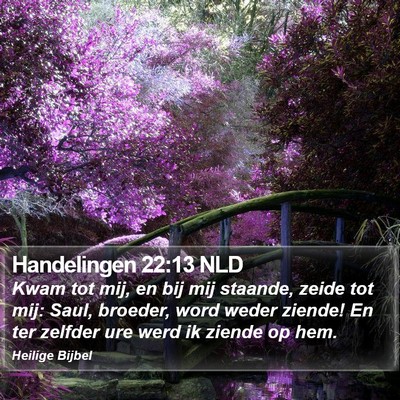 Handelingen 22:13 NLD Bible Verse Image