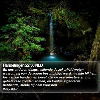 Handelingen 22:30 NLD Bible Verse Image