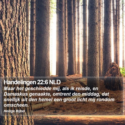 Handelingen 22:6 NLD Bible Verse Image