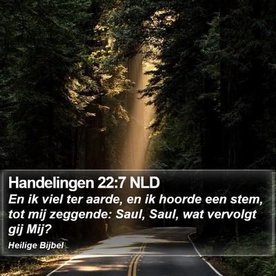 Handelingen 22:7 NLD Bible Verse Image