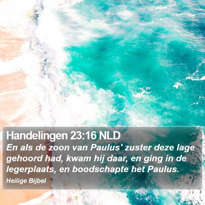 Handelingen 23:16 NLD Bible Verse Image
