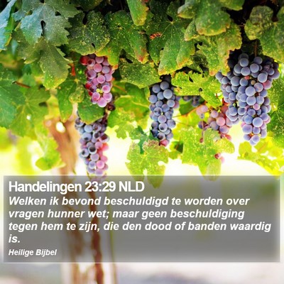 Handelingen 23:29 NLD Bible Verse Image