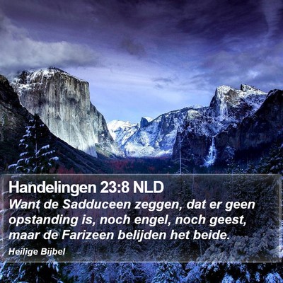 Handelingen 23:8 NLD Bible Verse Image