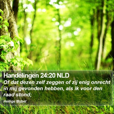 Handelingen 24:20 NLD Bible Verse Image
