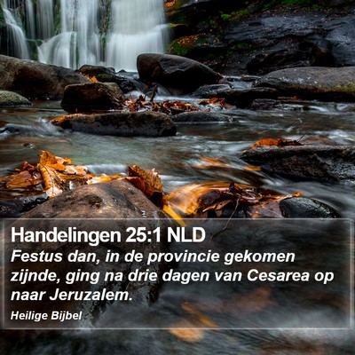 Handelingen 25:1 NLD Bible Verse Image