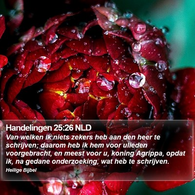 Handelingen 25:26 NLD Bible Verse Image