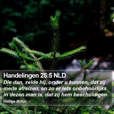 Handelingen 25:5 NLD Bible Verse Image