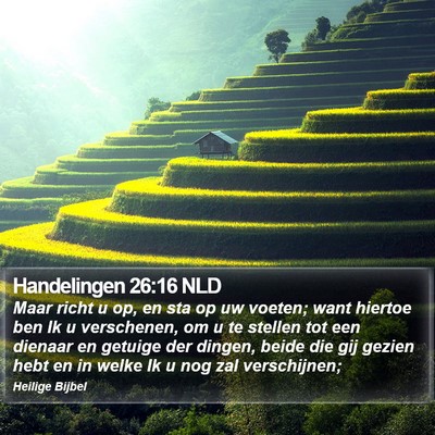 Handelingen 26:16 NLD Bible Verse Image