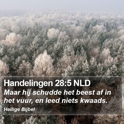 Handelingen 28:5 NLD Bible Verse Image