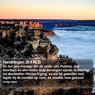 Handelingen 28:8 NLD Bible Verse Image