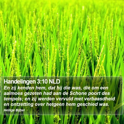 Handelingen 3:10 NLD Bible Verse Image