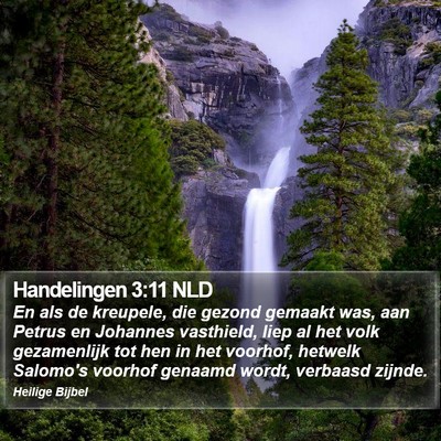 Handelingen 3:11 NLD Bible Verse Image