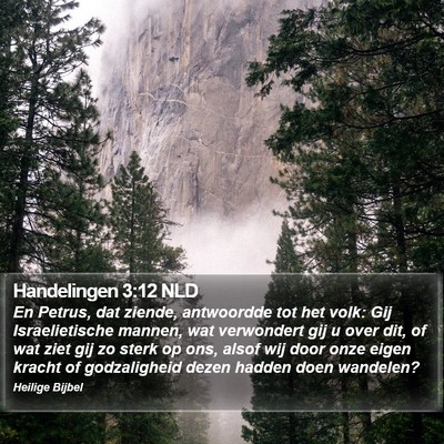 Handelingen 3:12 NLD Bible Verse Image