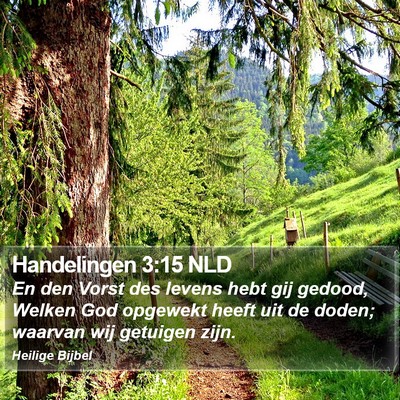 Handelingen 3:15 NLD Bible Verse Image