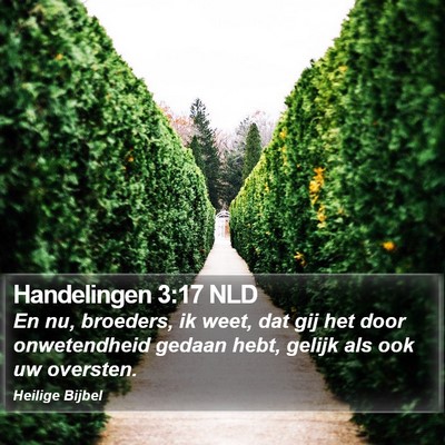 Handelingen 3:17 NLD Bible Verse Image