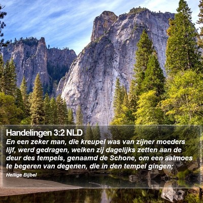 Handelingen 3:2 NLD Bible Verse Image