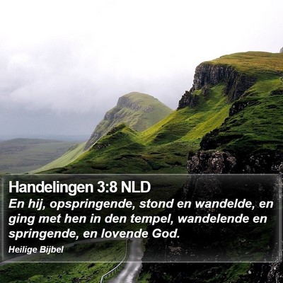 Handelingen 3:8 NLD Bible Verse Image