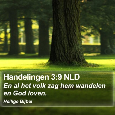 Handelingen 3:9 NLD Bible Verse Image
