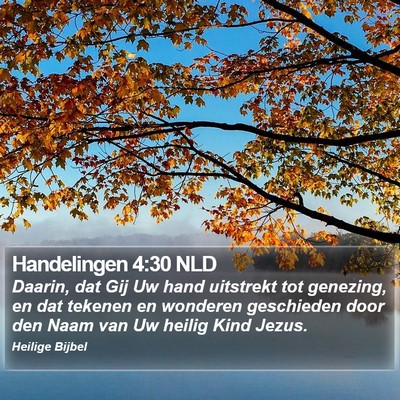 Handelingen 4:30 NLD Bible Verse Image