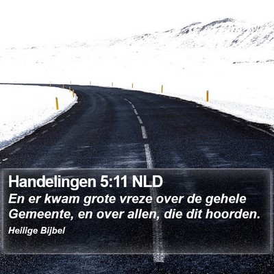 Handelingen 5:11 NLD Bible Verse Image