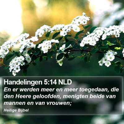 Handelingen 5:14 NLD Bible Verse Image