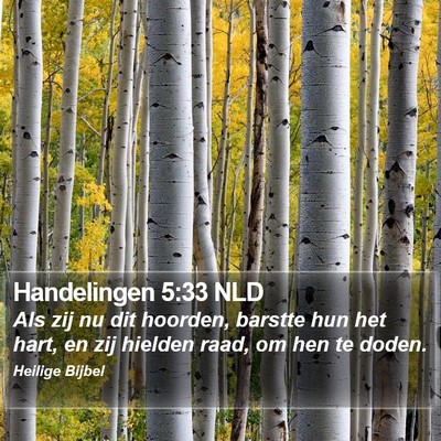 Handelingen 5:33 NLD Bible Verse Image