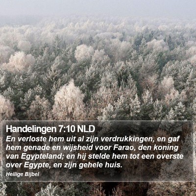 Handelingen 7:10 NLD Bible Verse Image