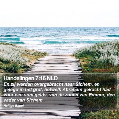 Handelingen 7:16 NLD Bible Verse Image