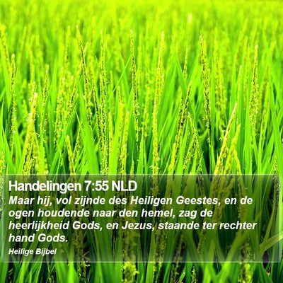Handelingen 7:55 NLD Bible Verse Image
