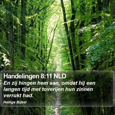 Handelingen 8:11 NLD Bible Verse Image