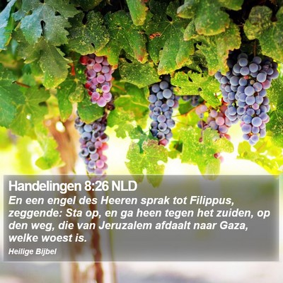 Handelingen 8:26 NLD Bible Verse Image