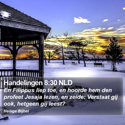 Handelingen 8:30 NLD Bible Verse Image