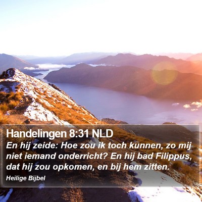 Handelingen 8:31 NLD Bible Verse Image
