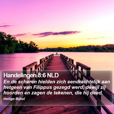 Handelingen 8:6 NLD Bible Verse Image