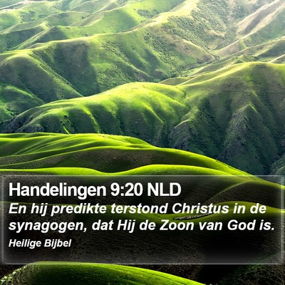 Handelingen 9:20 NLD Bible Verse Image