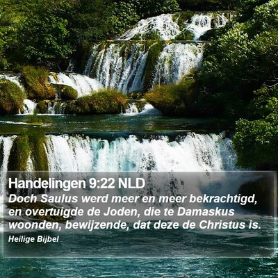 Handelingen 9:22 NLD Bible Verse Image