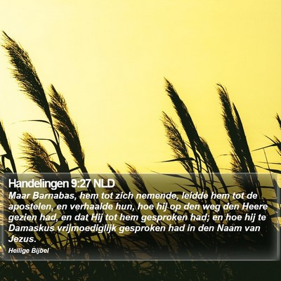 Handelingen 9:27 NLD Bible Verse Image
